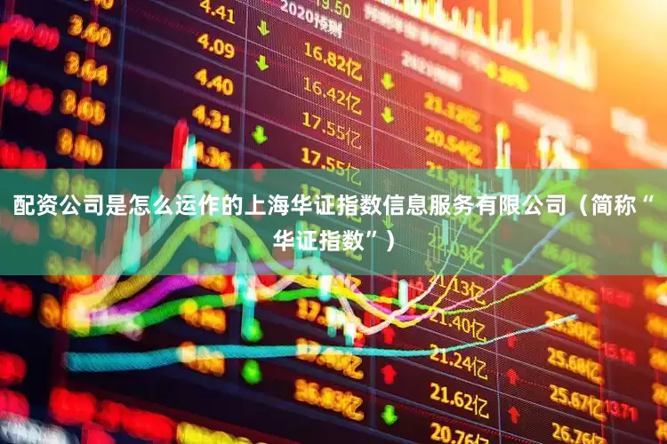 配资公司是怎么运作的上海华证指数信息服务有限公司（简称“华证指数”）