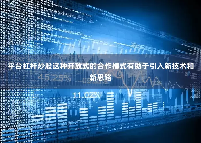平台杠杆炒股这种开放式的合作模式有助于引入新技术和新思路