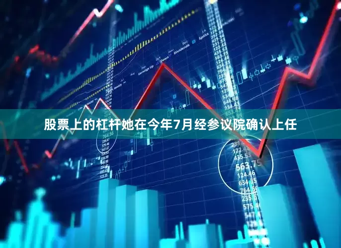 股票上的杠杆她在今年7月经参议院确认上任